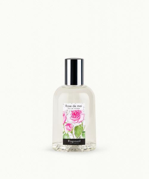 Rose De Mai - Fragonard