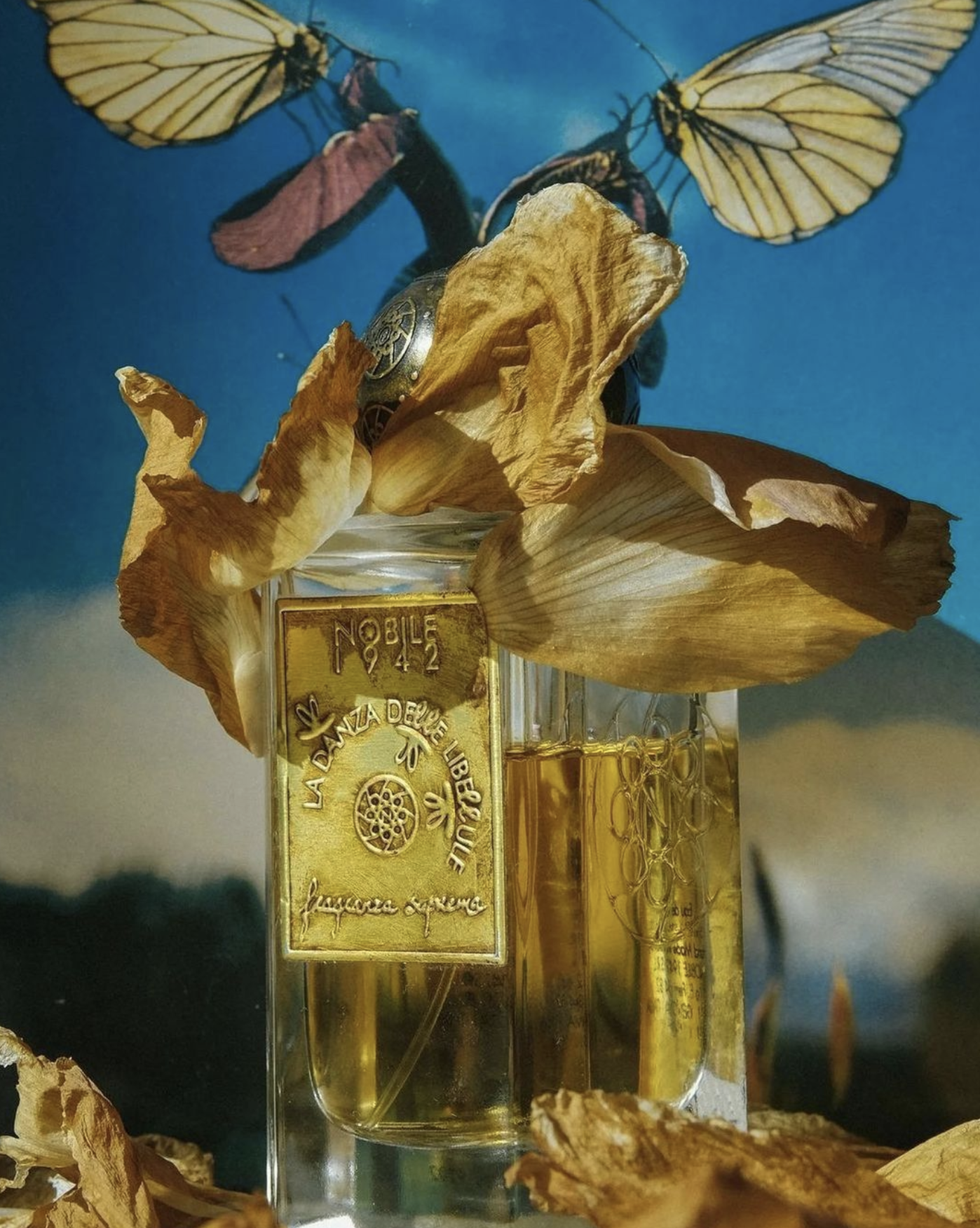 Screenshot 2023-08-03 alle 16.28.51