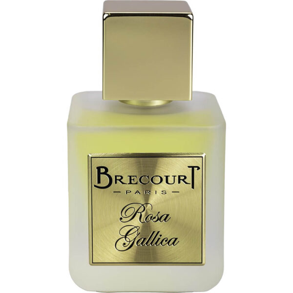 Rosa Gallica - Brecourt