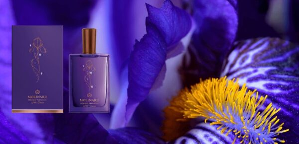 Iris - Molinard - immagine 2